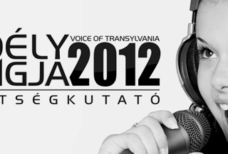 Case study: Voice of Transylvania [social programme]